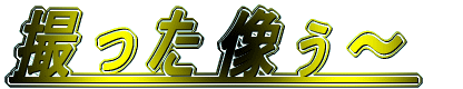 B` 